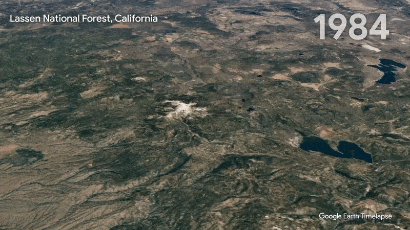 在加利福尼亚州的拉森国家森林中，野火、火山喷发和伐木改变了景观。独特的伐木模式呈现出干净的几何形状。